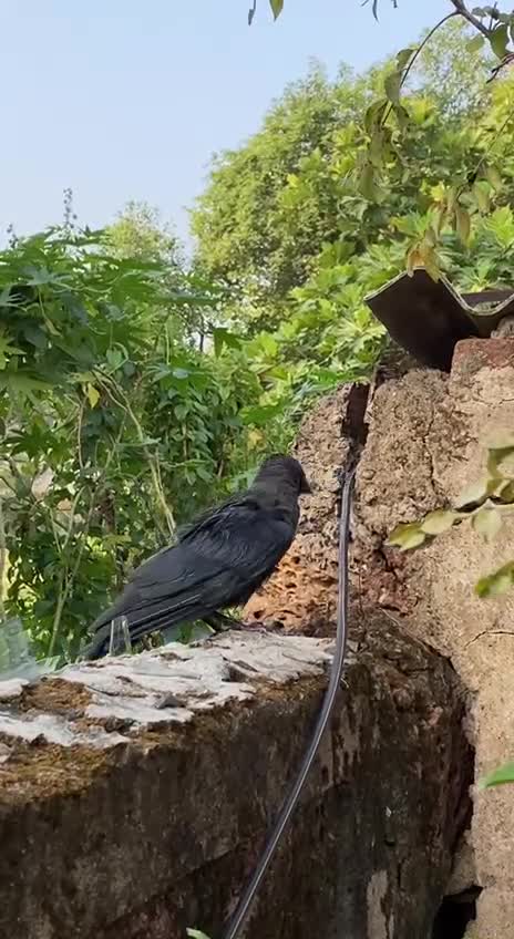 космические ритмы. вселенная задумался. мир в руке. думающая планета. думающая планета.