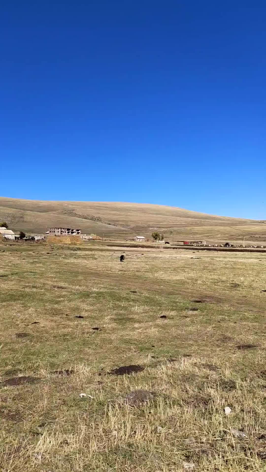 Елена_kei | Грузинская деревня. Движем на границу Грузия и Турция. | Дзен