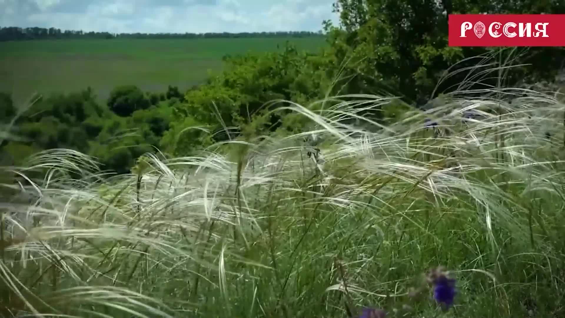 Форум на дне