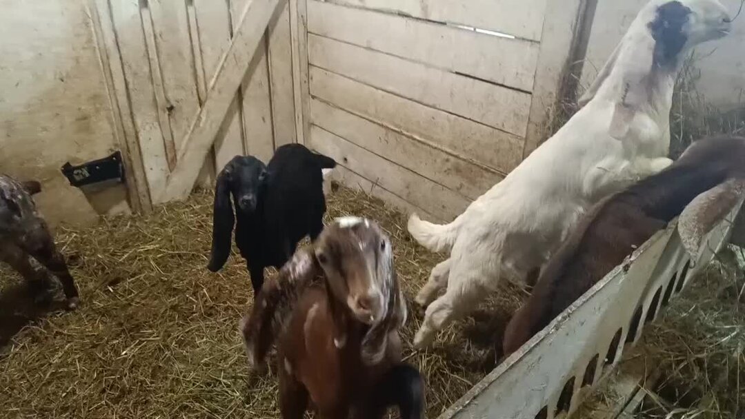 таблица скорости бега и дистанции. таблица десятков сотых единицы. в 14 0 0 какая будет. в 14 0 0 какая будет. в 14 0 0 какая будет.