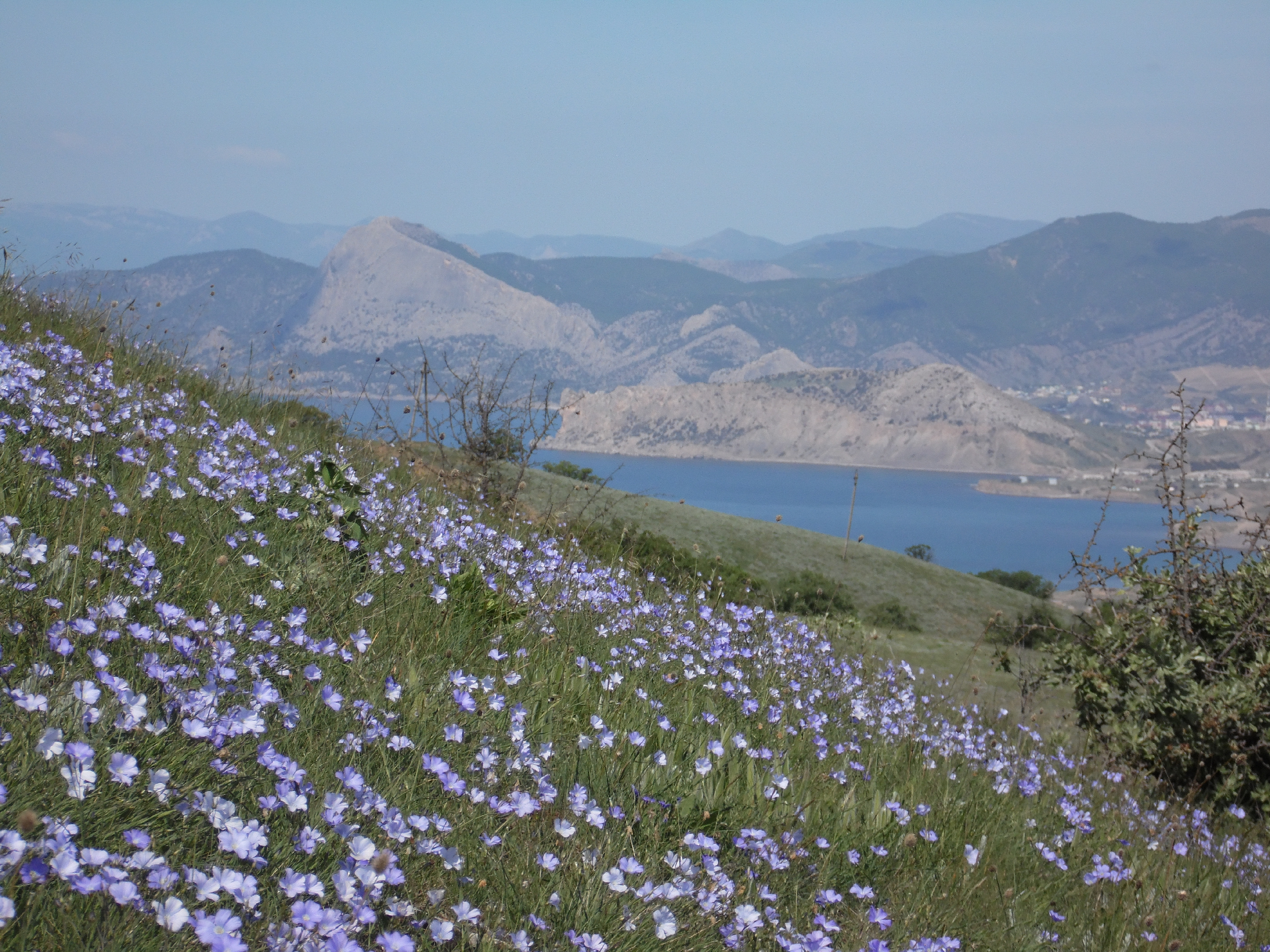 долгожданное лето. наступило лето согласование. фото с наступлением лета. пристрой организатора. долгожданное лето.