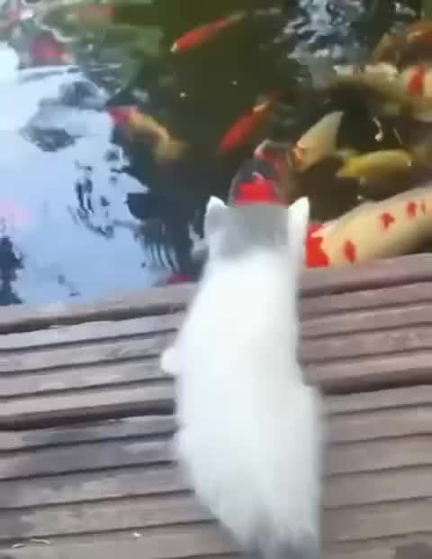 Мама всегда поможет