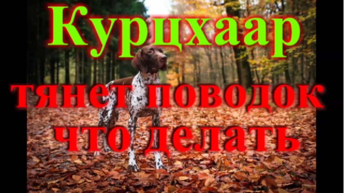 не тянет раст что делать фото 18