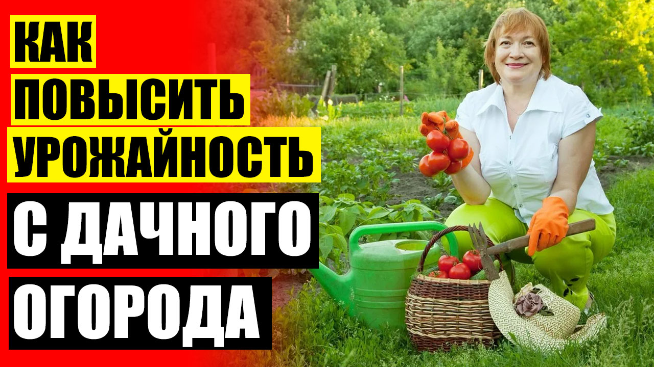 Вид использования дачное хозяйство. Вид использования дачное хозяйство