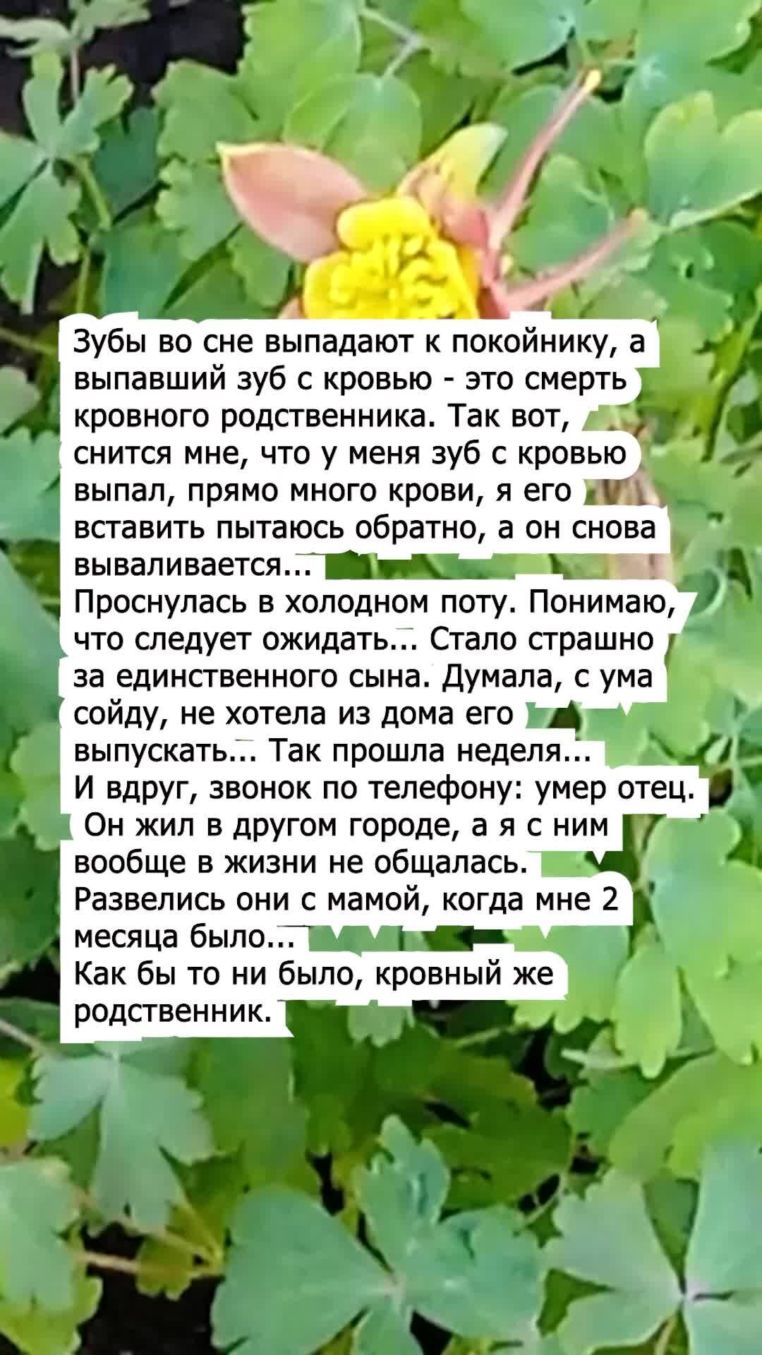 НЕЗРИМЫЙ МИР | Он жил в другом городе, а я с ним вообще в жизни не общалась  | Дзен