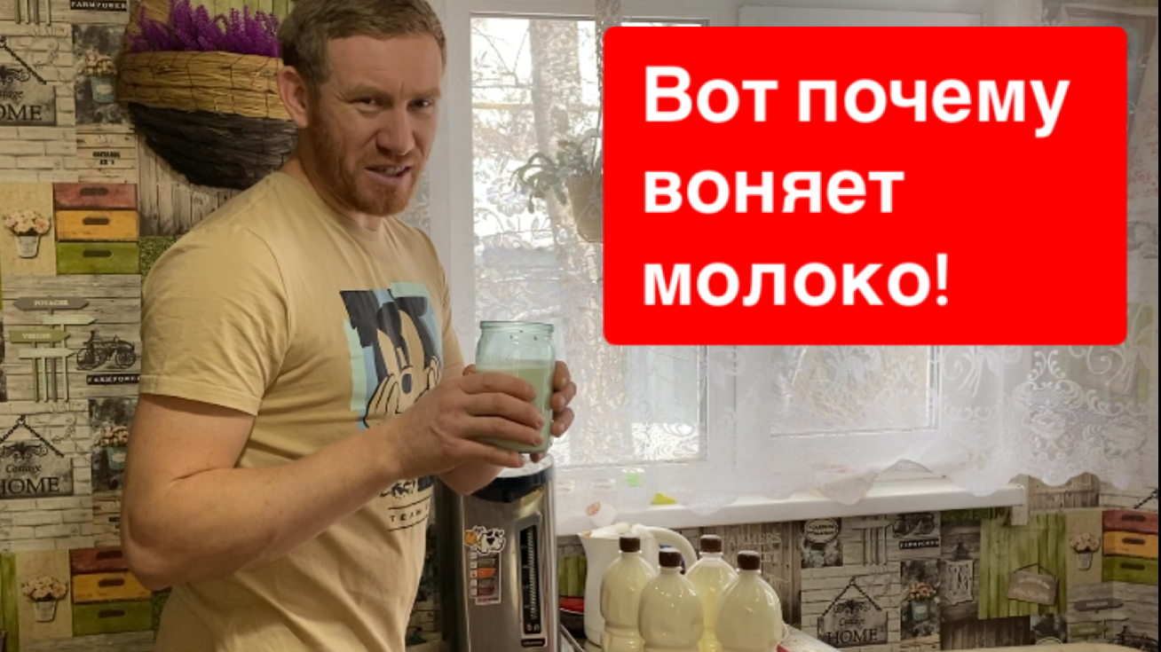 Молоко расслоилось почему. Молоко расслоилось почему