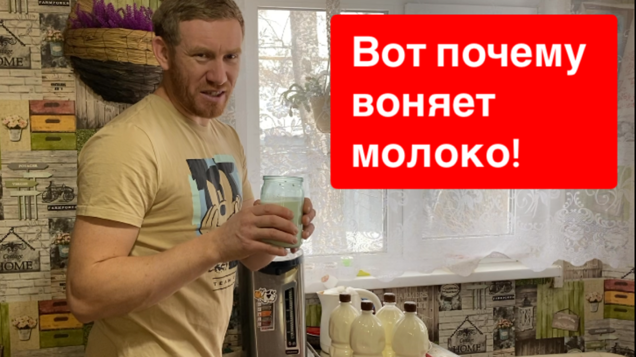 Молоко воняет