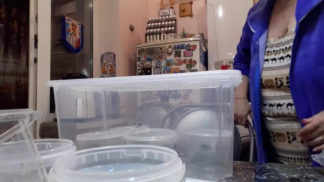 Презентация на тему вирусы. Антагонизм микроорганизмов. Вирусы адаптируются к среде. Вирус адаптируется к среде. Вирус адаптируется к среде.