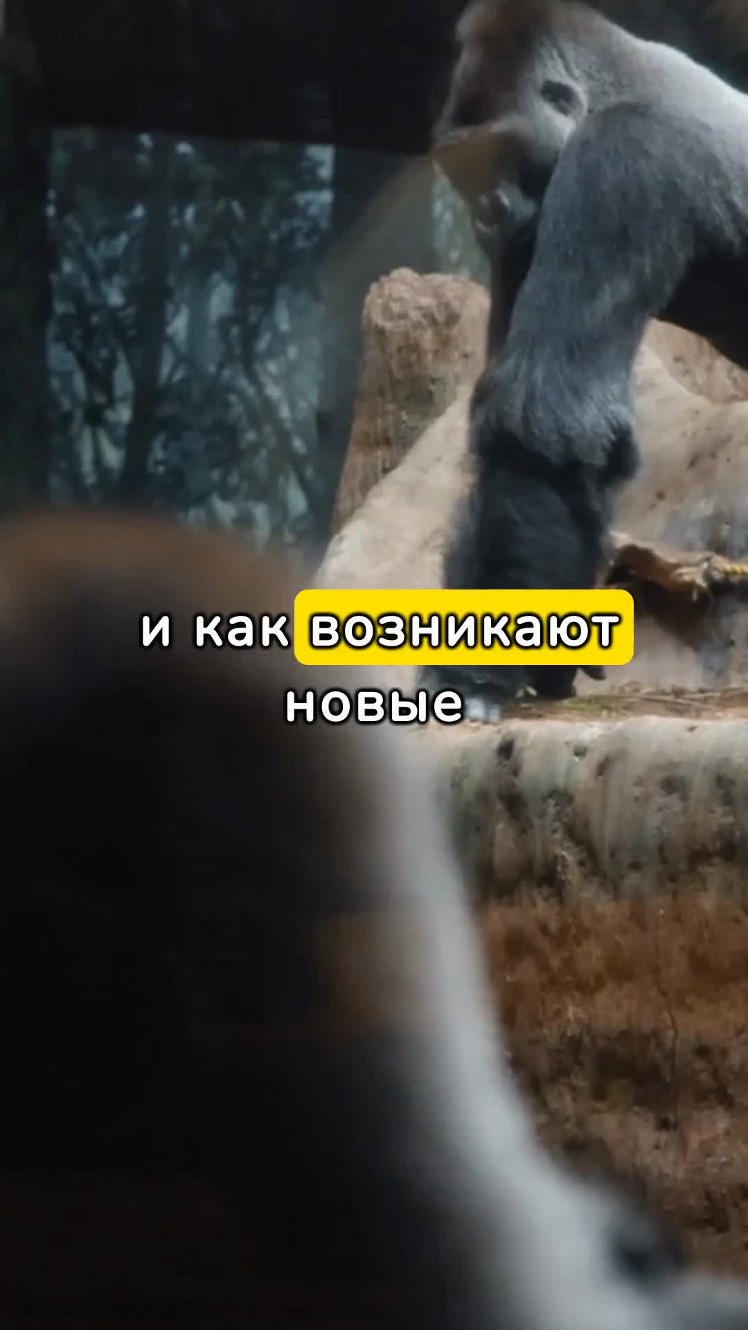 наука о движении и взаимодействии тел