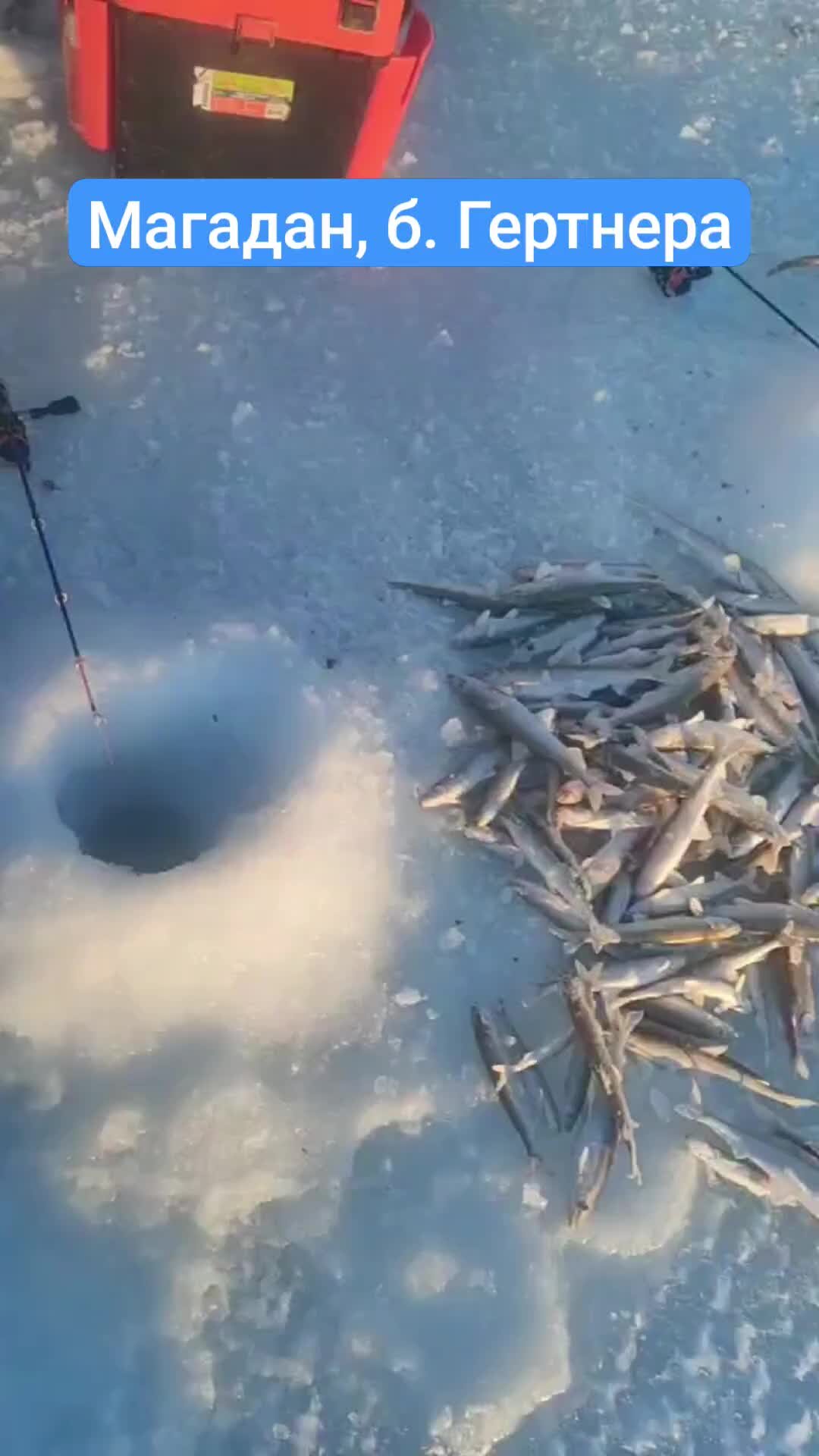 Амур текст. Края дальнего востока. Площадь дальнего востока на территории россии. Песни амур. Песни про дальний восток проуср йск.