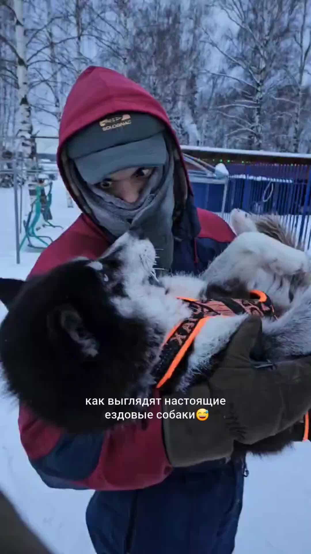 Филонить это