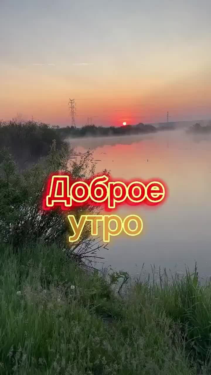 Рыбанутые. Рыбанутые