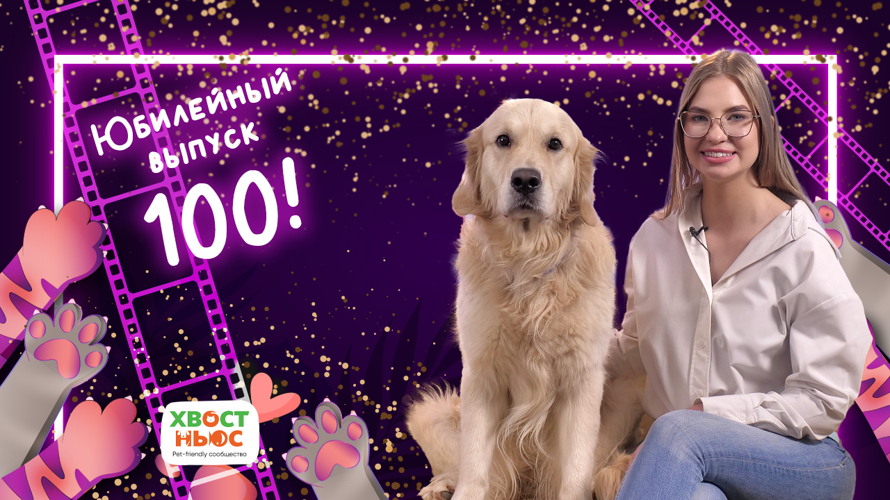 Следите за собаками. Большой питбуль порода. Стаффордширский терьер халк. У каких людей есть собаки. Тибетский мастиф гигант.