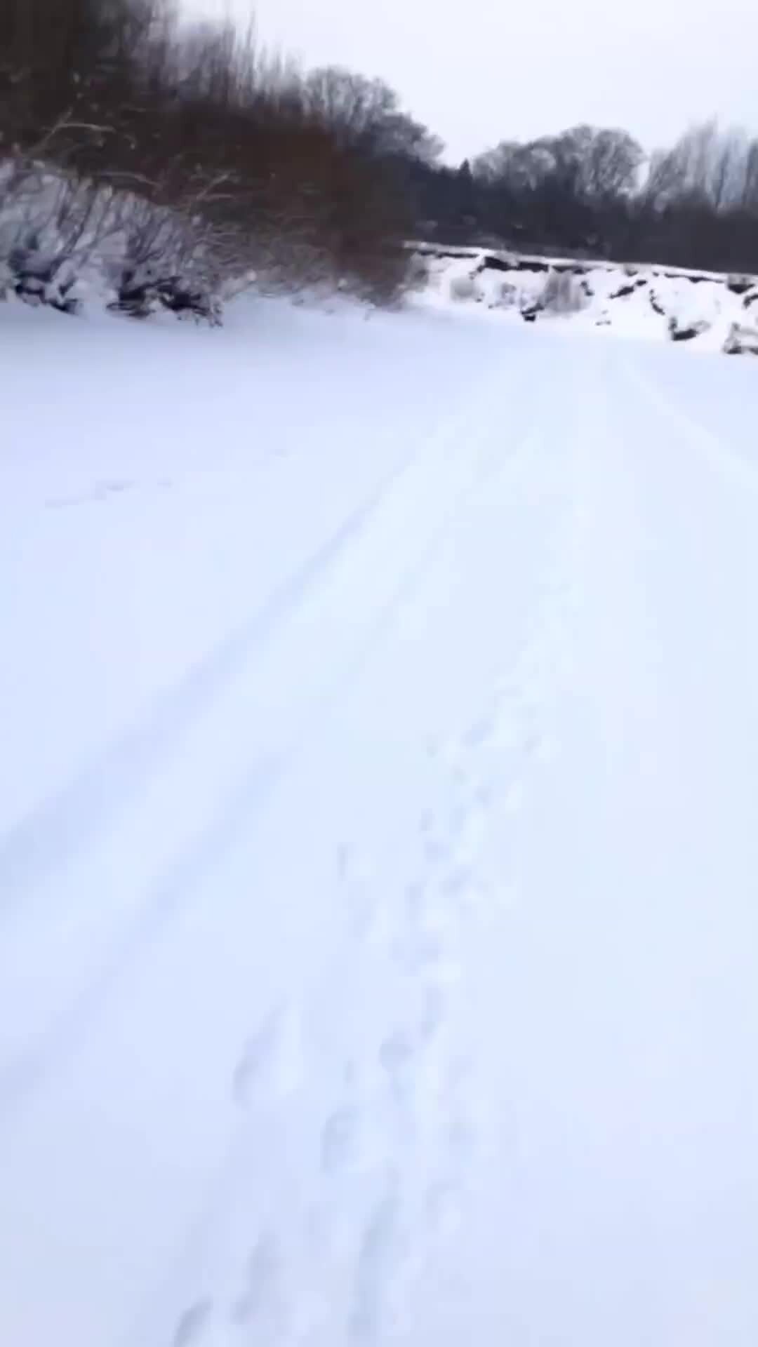 Дай лапу джим чусовой