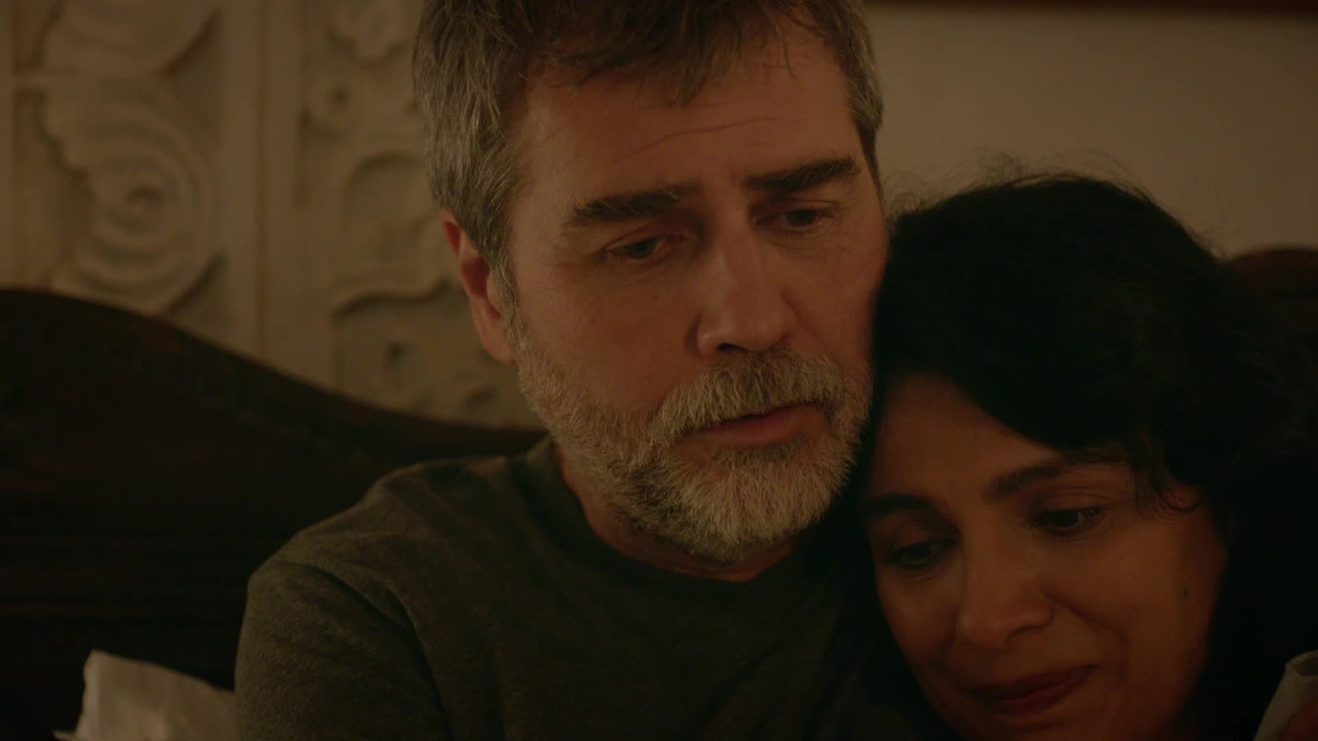 Ветреный 36 русский язык