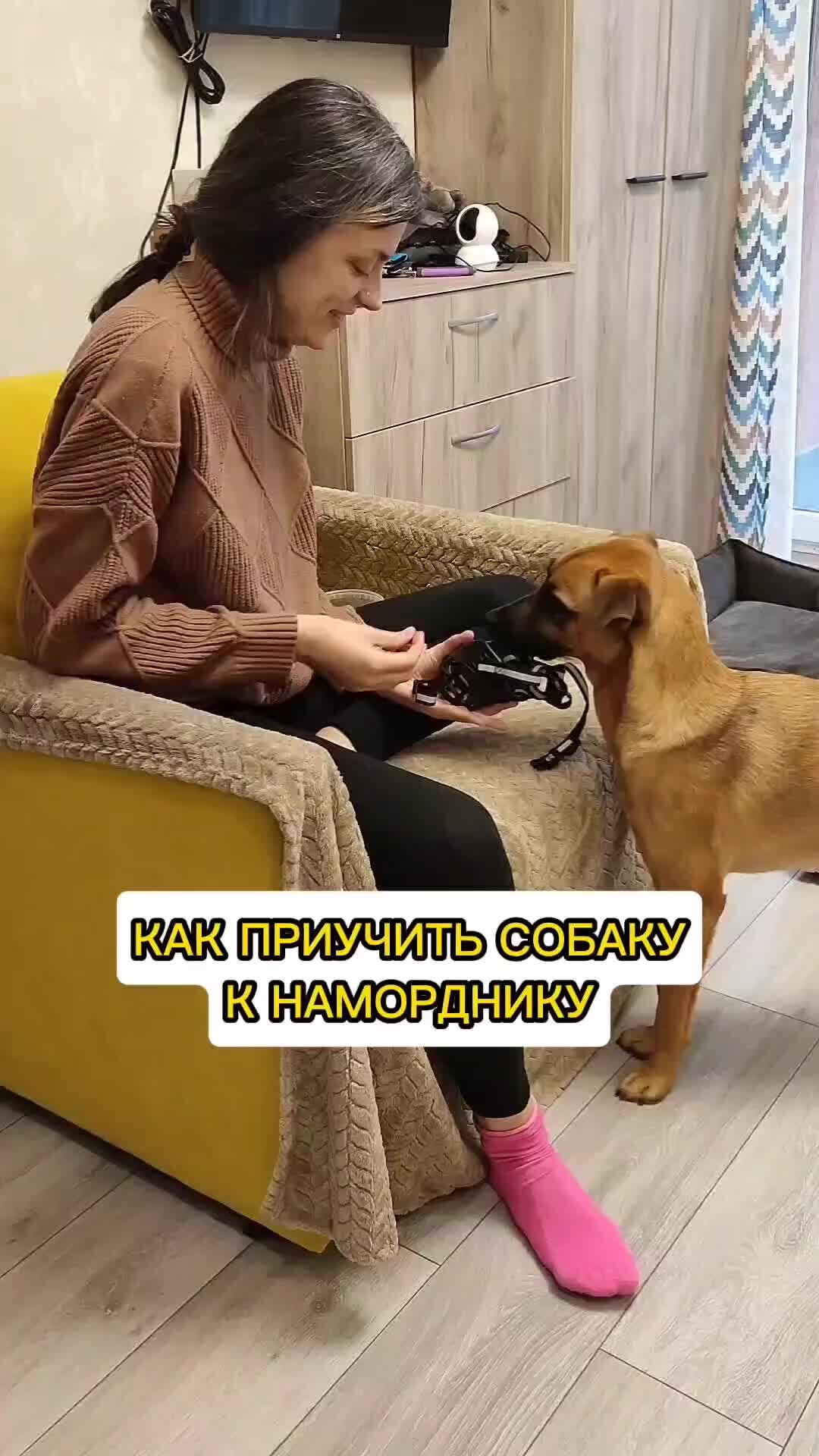 Научу как правильно