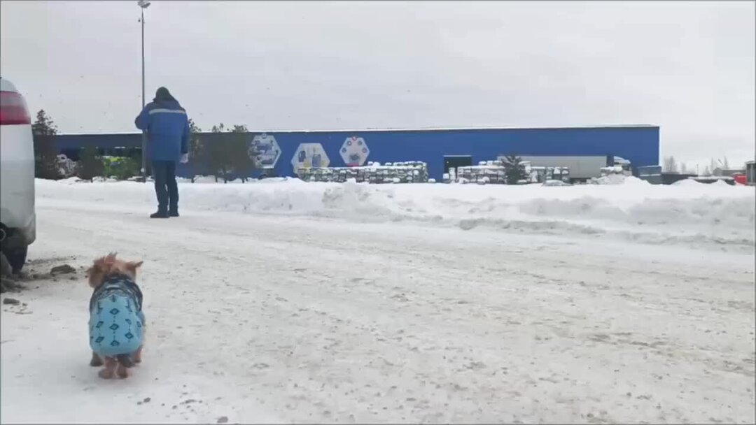 Когда не видишь в даль как называется. Стихотворение русь никитин иван саввич. Мемы про глеба. Дом стоит свет горит. Близорукость фокусируется перед сетчаткой.