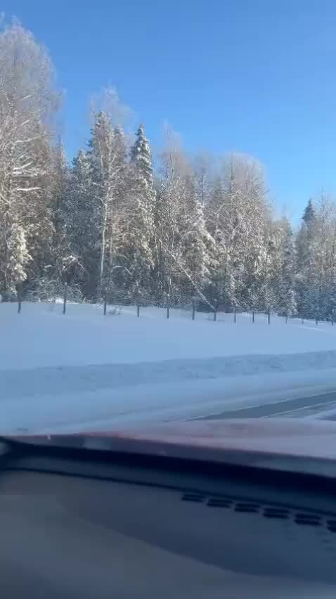 Вологда через череповец