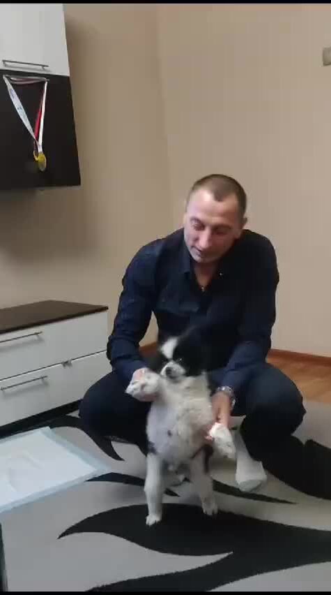 девичник зажигаем по полной. плейлист подруге. самая зажигательная дискотека. песня зажигаем прикольно. песня зажигаем прикольно.