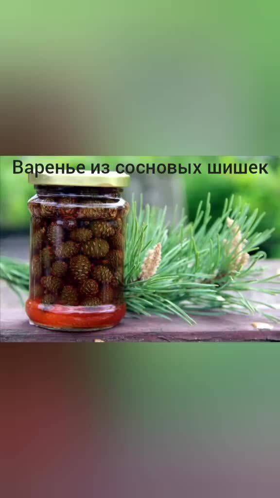 Чем полезны шишки