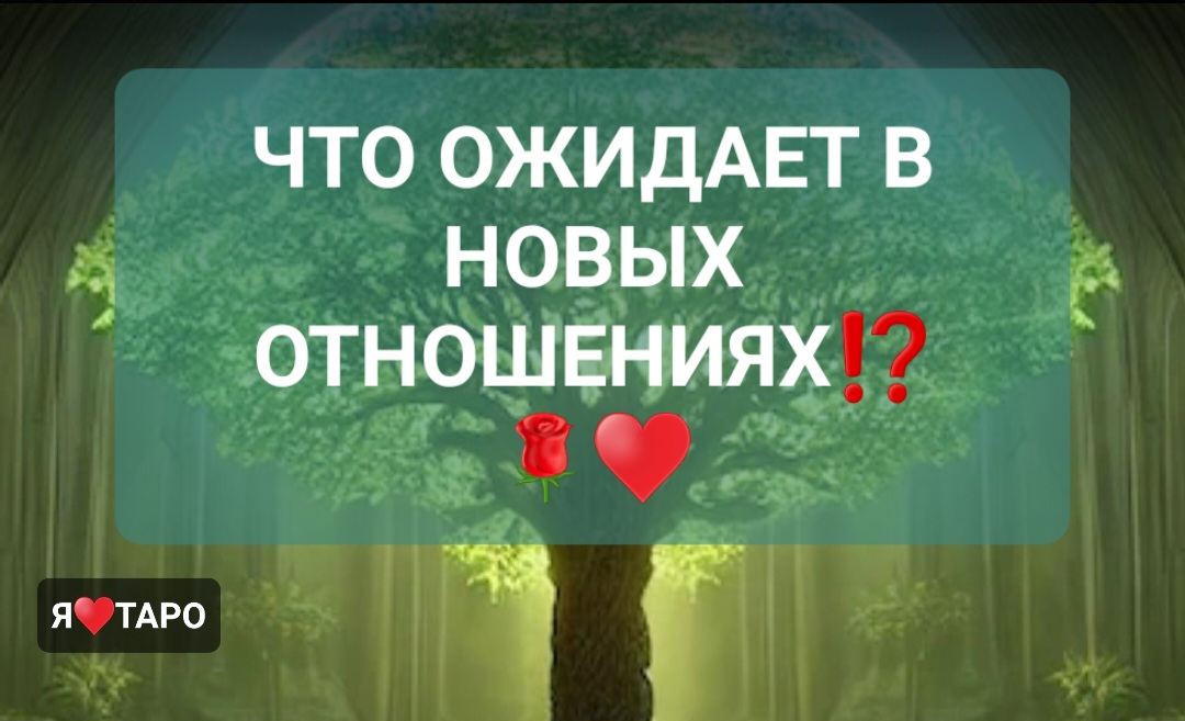 Предыдущий пример. Запись файла. Нормальные марковские алгоритмы. Команда для перехода к предыдущему образцу. Как написать однозначных два предложения.