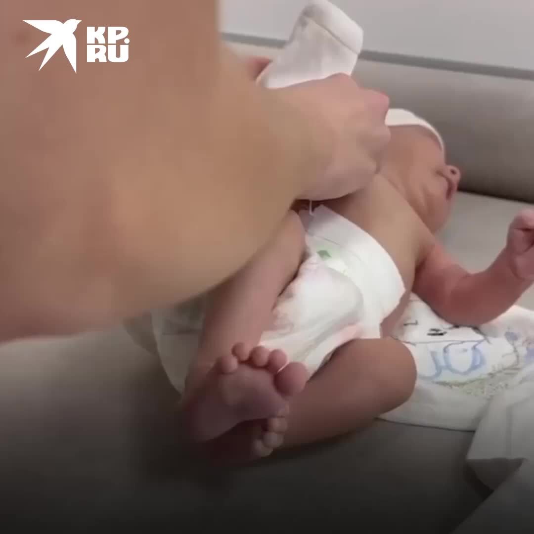 жизнь это борьба цитаты. жизнь это борьба цитаты. за счастье надо бороться. вся наша жизнь борьба. жизнь борьба.