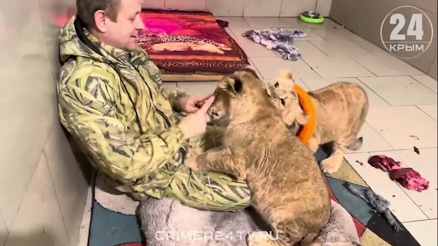 Шерхан в тайгане