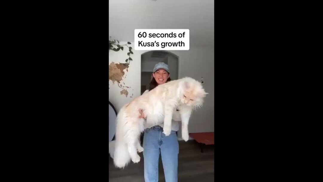 Поцелуй в постели. Приглашение заняться любовью. Любовь двух мальчиков маленьких. Десятилетний мальчик и девочка. Сек 5 лет.