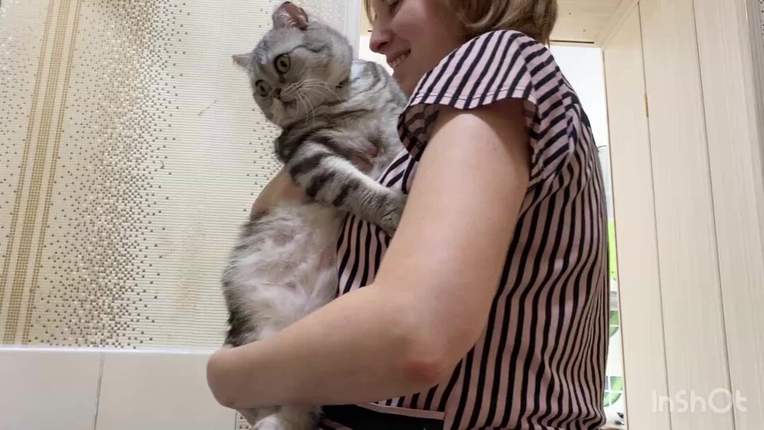 Ирония судьбы режиссер. С легким паром 13 января. Фильм рязанова ирония судьбы или с легким паром. Ирония судьбы 1976. Новогодние фильмы ссср.