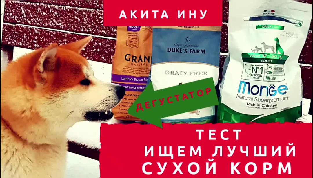 Корм для акита ину. Корм для АКИТ. Сухой корм для Акита ину. Корм для щенка Акита ину. Сухой корм для сиба ину щенков
