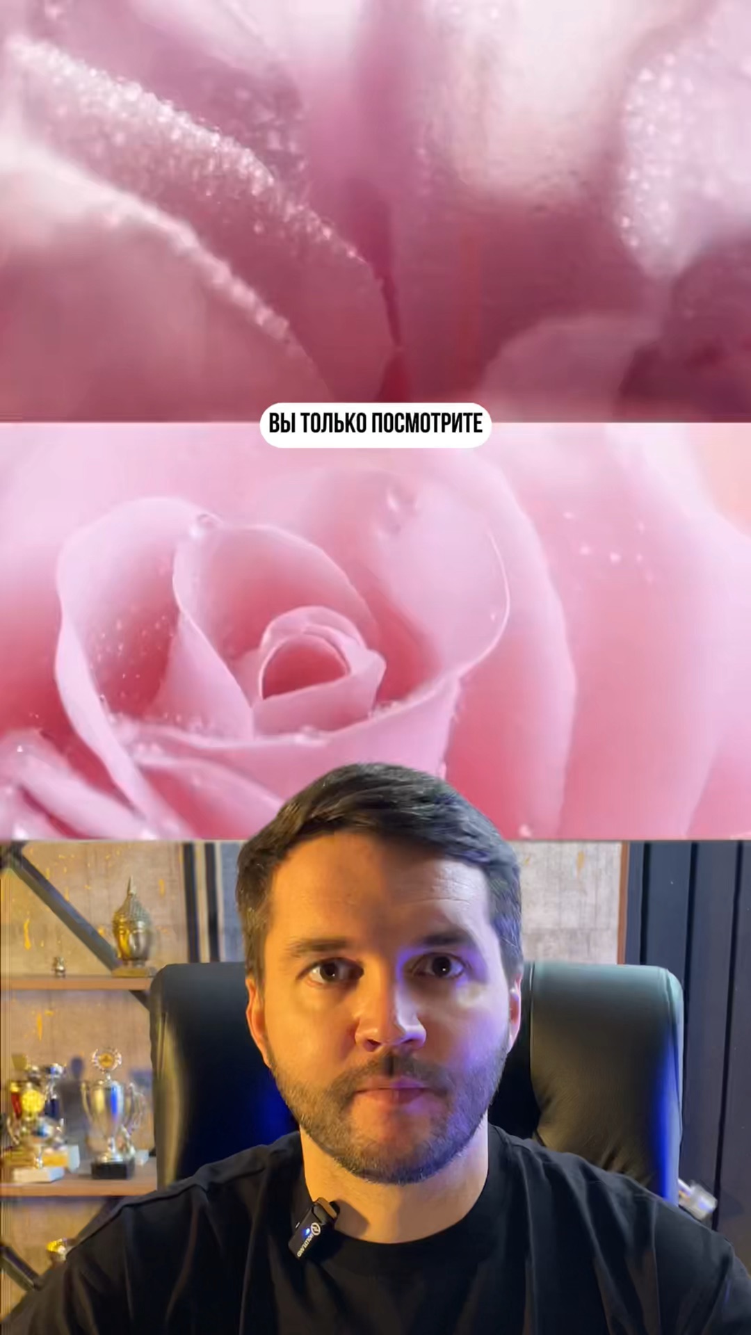 I нейросеть. I нейросеть