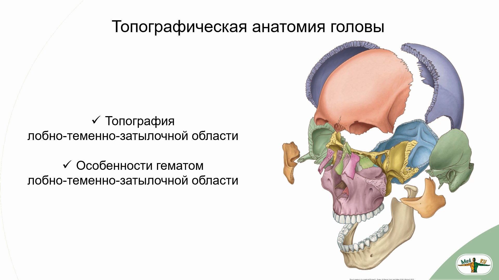 Височная затылочная