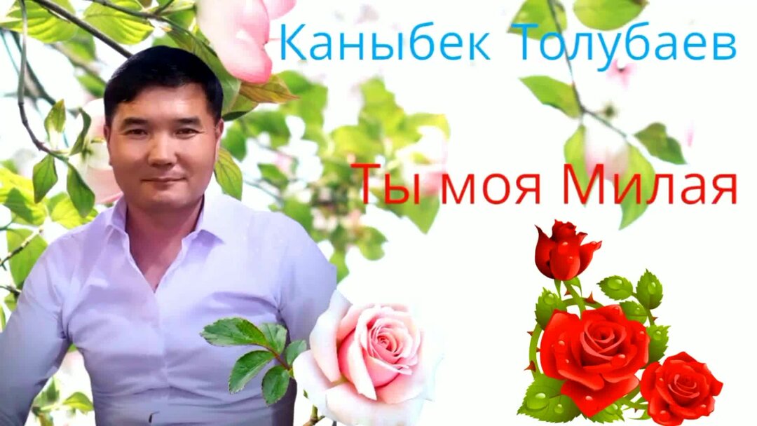 Каныбек толубаев люблю тебя