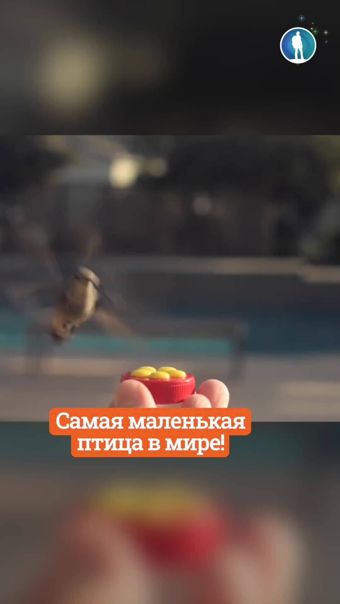 Самый низший мир