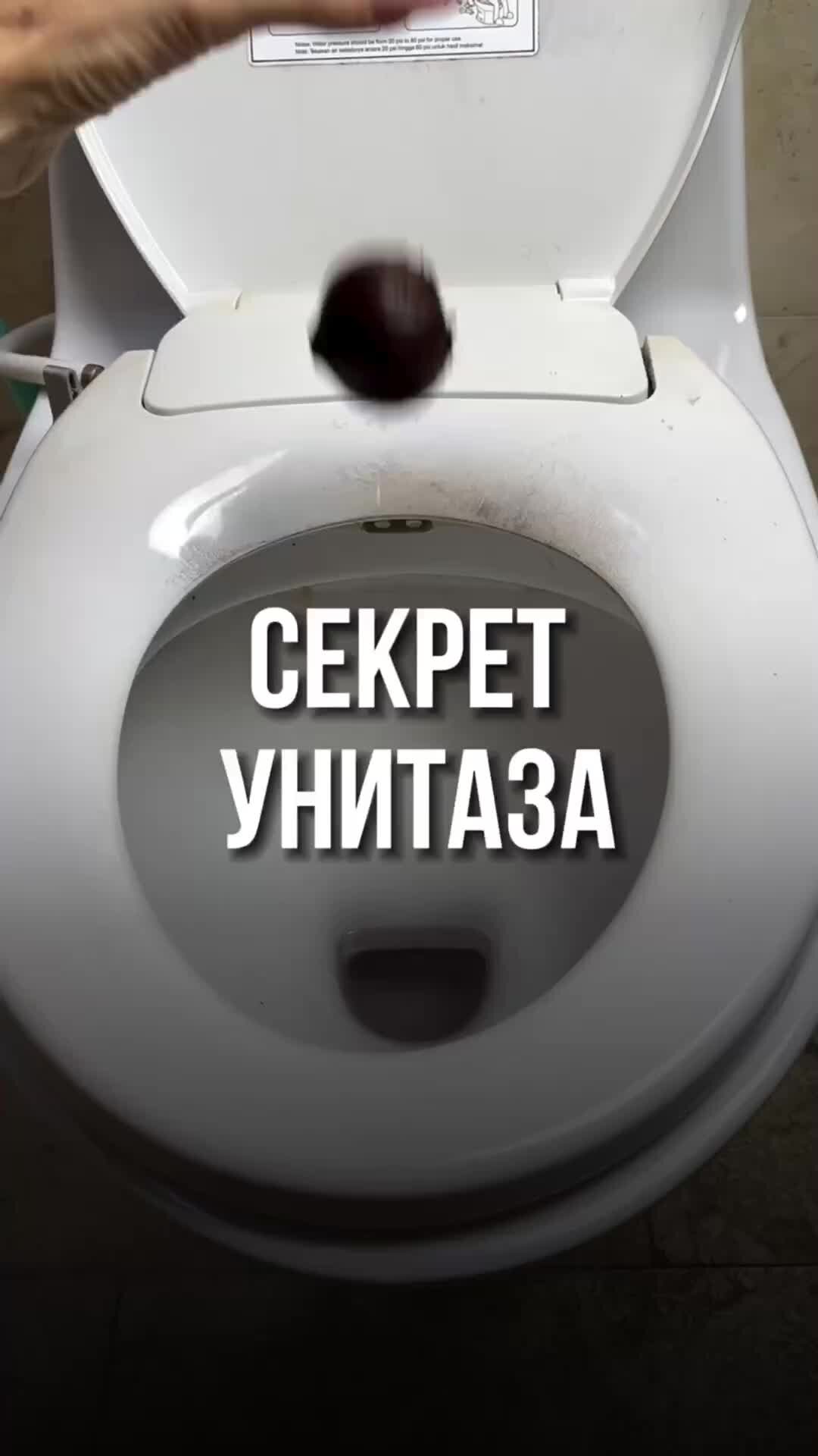 Унитаза ждёт сюрприз...