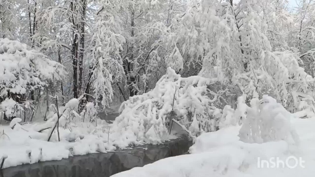 Зимняя ленинградская область