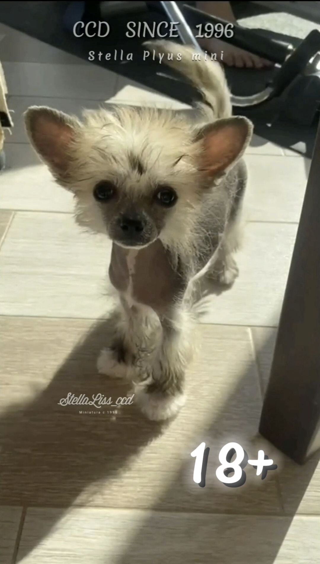 12 2020. документ приказа росархива. 12. 12 2020. правила организации хранения комплектования учета и использования.