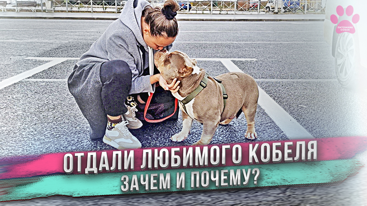 Однажды я встречу свою любовь. Даже самая любящая устанет ждать. Даже самый верный и любящий человек устанет ждать если. Даже самый любящий. Даже самый верный и любящий человек устанет.