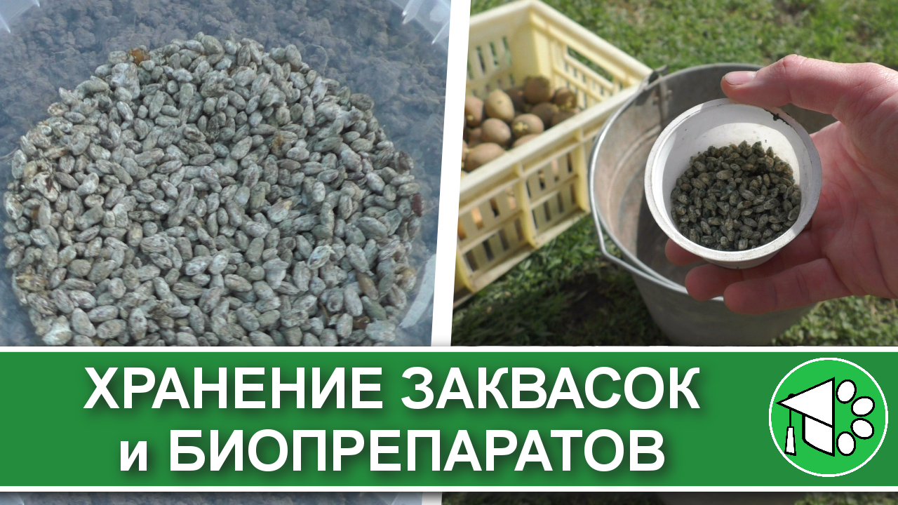 Можно ли хранить крупу на балконе зимой. Контейнеры для сыпучих продуктов икеа. Хранение муки в квартире. Хранение круп в пластиковых бутылках. Можно ли хранить крупу на балконе зимой.