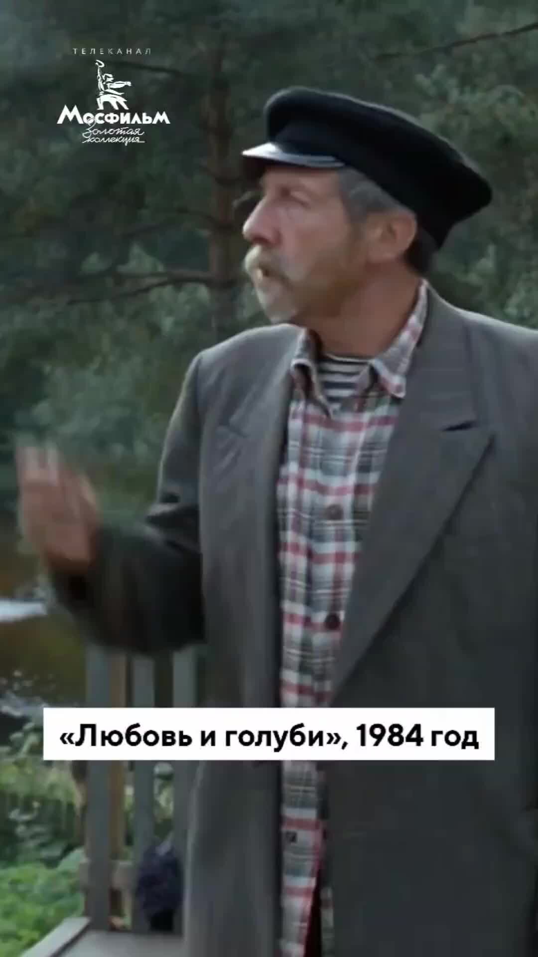 по какому каналу показывают любовь и голуби. по какому каналу показывают любовь и голуби. по какому каналу показывают любовь и голуби. «любовь и голуби» (режиссер владимир меньшов, 1984 г. кадры из фильмов.