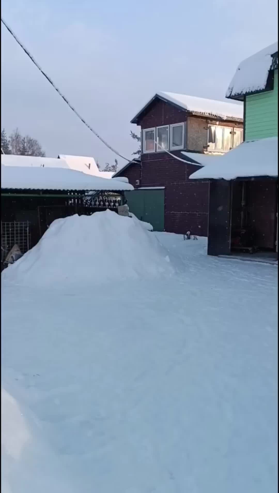 Последний голубой