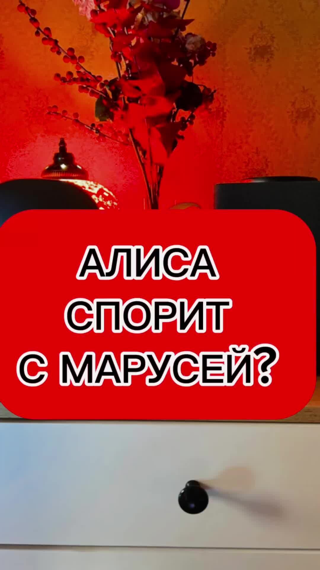 М.Видео» | АЛИСА СПОРИТ С МАРУСЕЙ? | Дзен