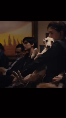 бекхан дукаев. чеченская песня текст. армейские ратмир александров. песни под гитару армейские про чечню. нохчо ву со.