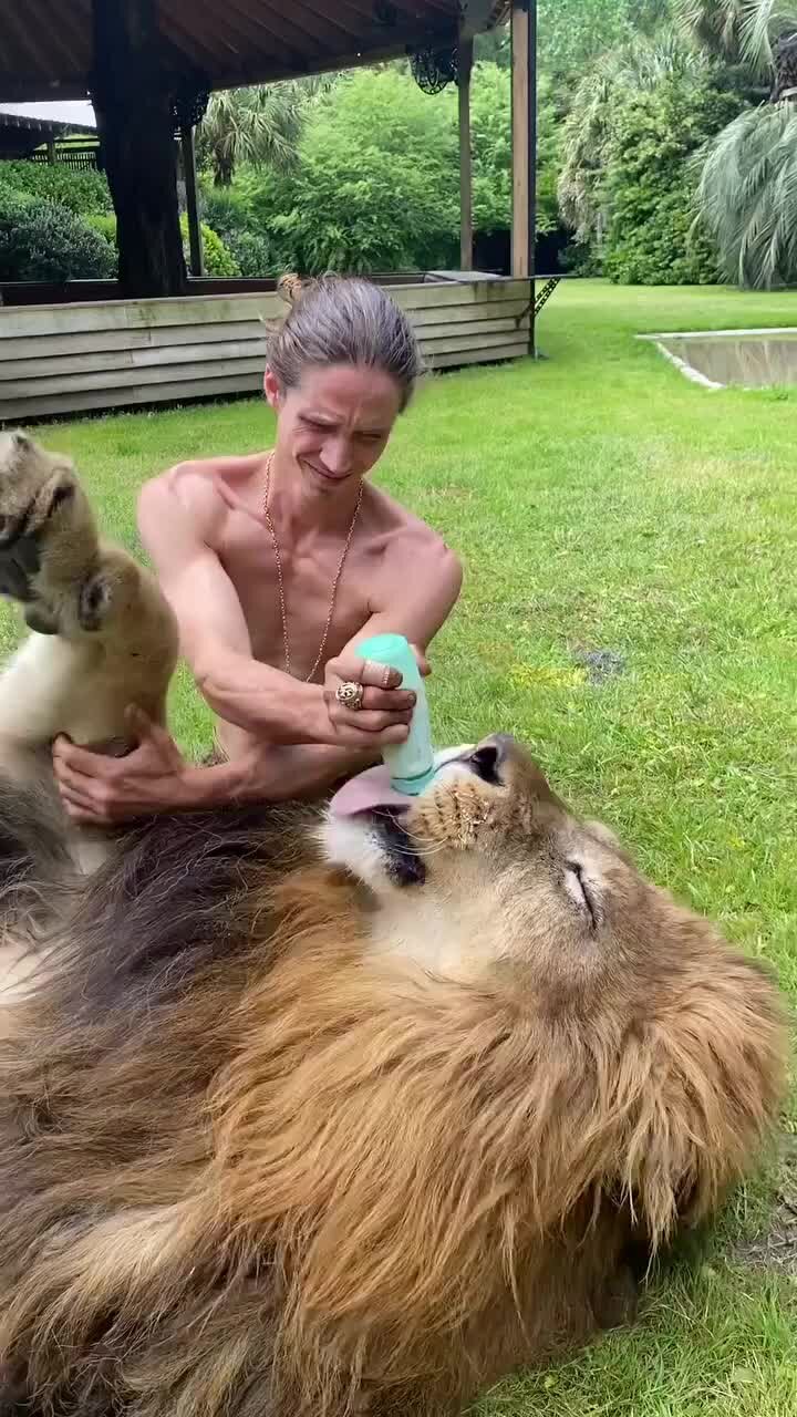 Питательная среда 15 грм оболенск. Питательная среда №1. Среда 1 8. (висмут-сульфит-грм-агар)" по ту 9398-046-78095326-2008. Питательная среда кесслера.