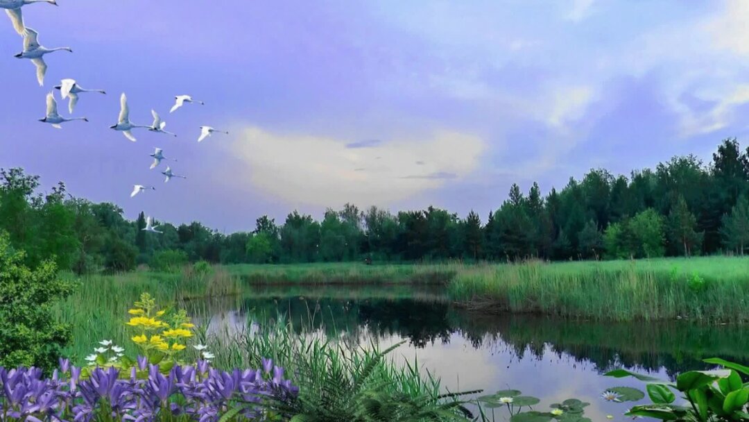 песня небо весны. песня небо весны. песня небо весны. весна голубое небо. весенняя зелень и голубое небо.