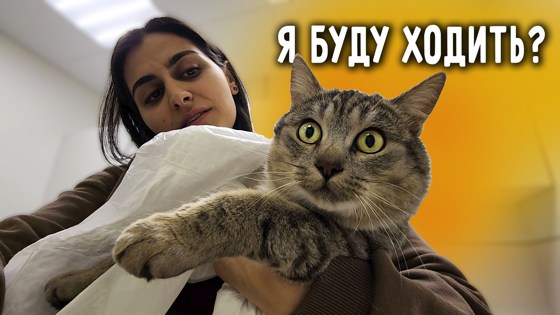 Стоп хам наклейки на авто. Нажимай куда хочешь. Что это было?. Куда жать чтобы было весело. Нажимай куда хочешь.