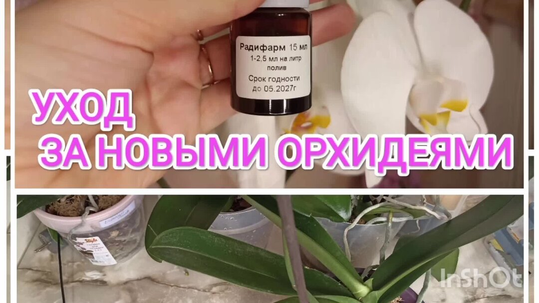 Как новые как ухаживать за. Как новые как ухаживать за