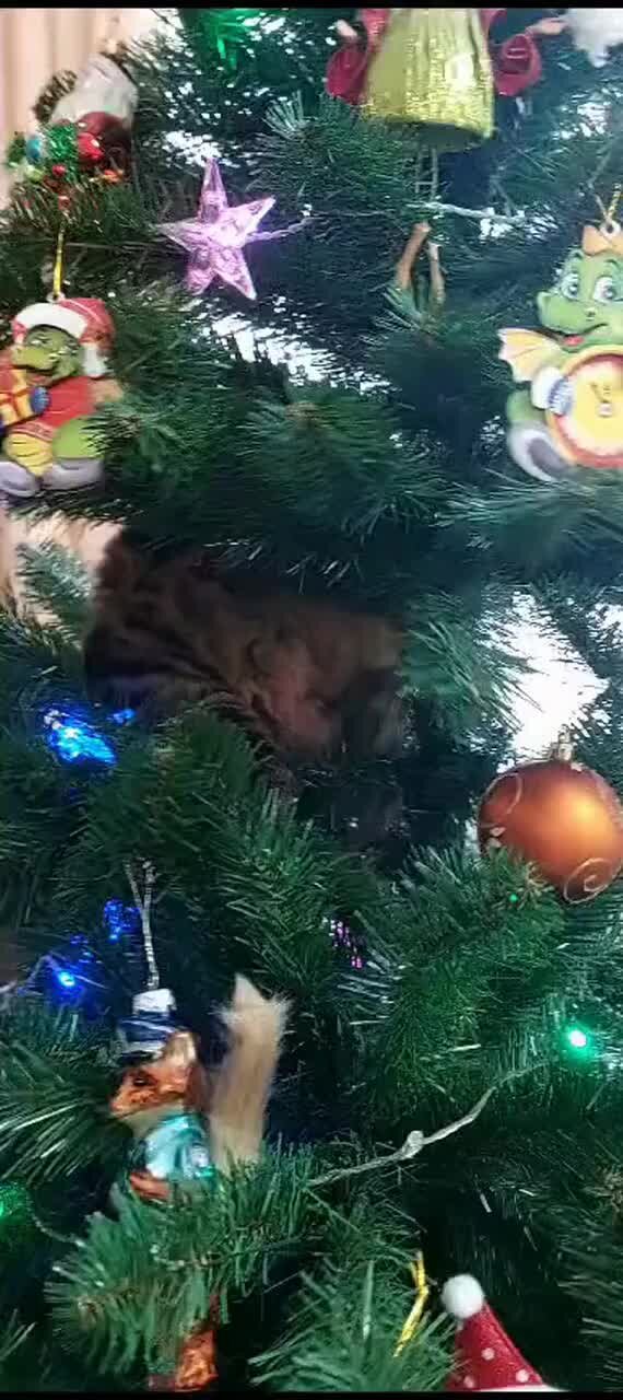 Современные ёлки 2 ответа. 2 елка видео. Петр федоров дед мороз. Ёлки 2 фильм 2011 алферова. 2 елка видео.