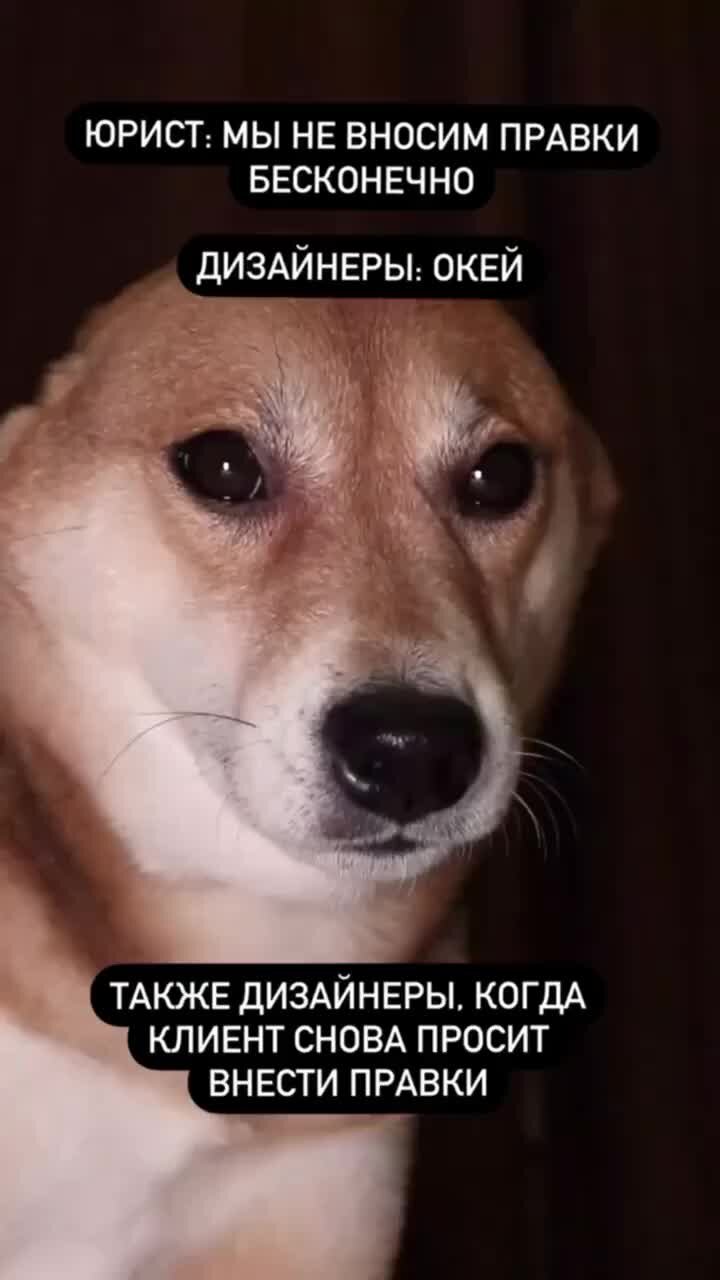 Чему нибудь научу. Чему нибудь научу. Мы все учились понемногу чему-нибудь и как-нибудь. Мы все учились понемногу. Демотиватор свет.