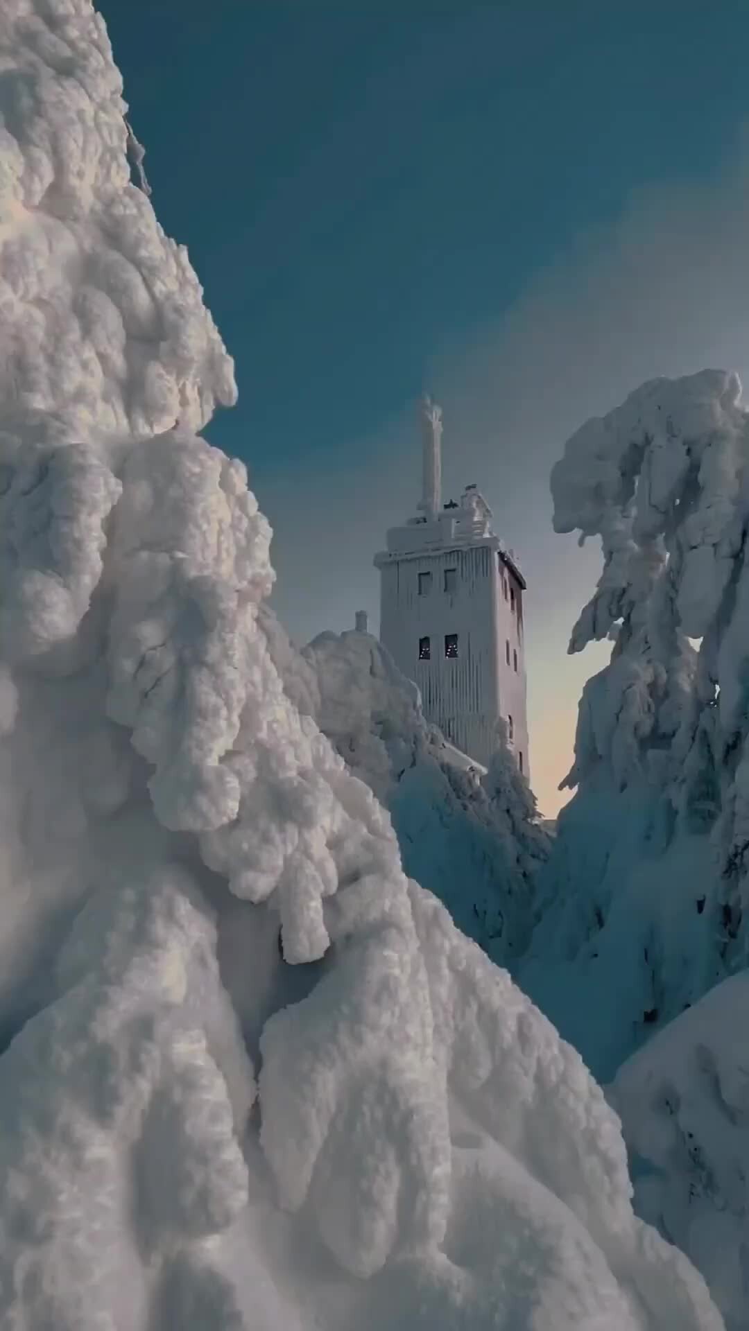 Full HD | Какая невероятно красивая зима! Шел снег! | Дзен